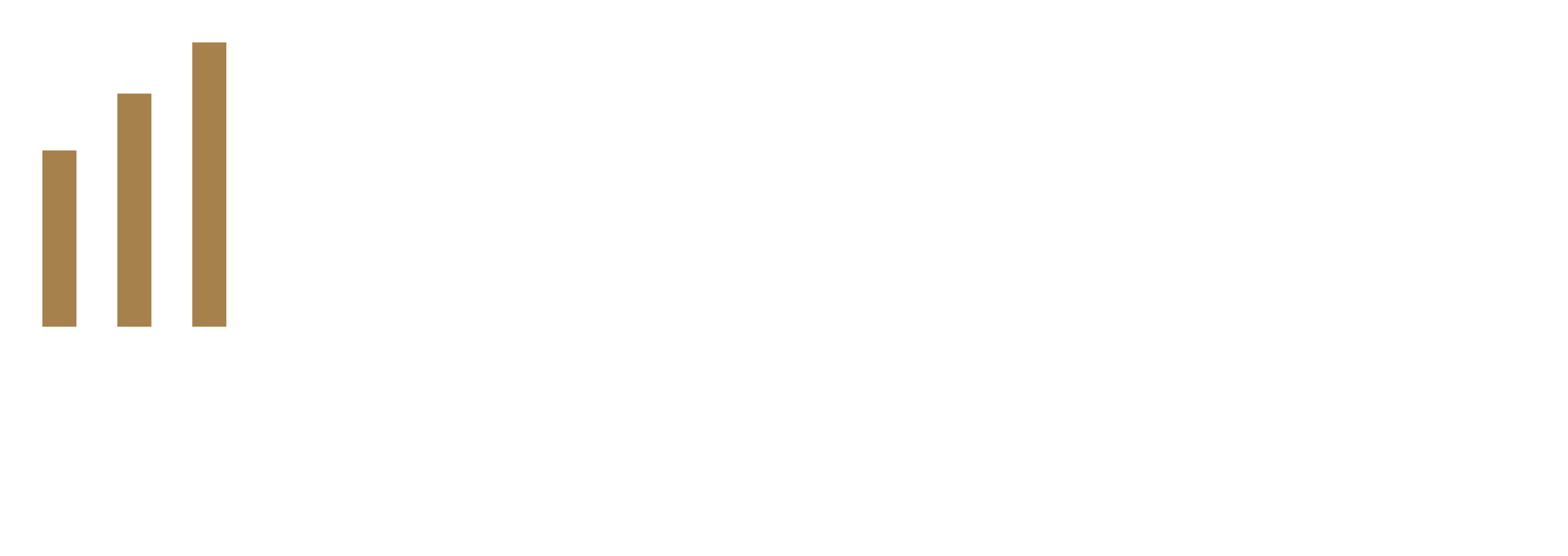 MACE CONSULTING